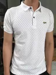 áo thun cá sấu cho nam đẹp